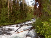 Grand Tetons National Park