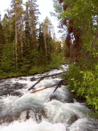 Grand Tetons National Park