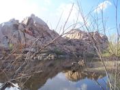 Joshua Tree National park 