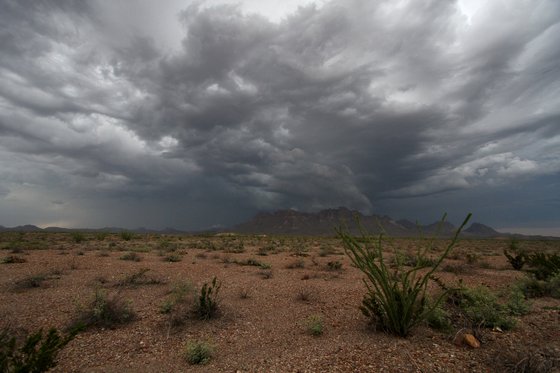 Big Bend National Park, TX