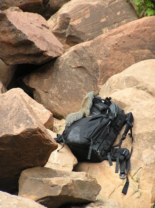 Zion National Park