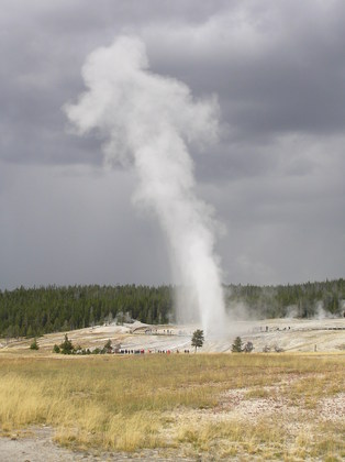 yellowstone national park