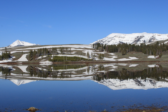 Yellowstone National Park