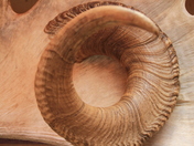 Denali National Park