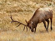 Rocky Mountain National Park