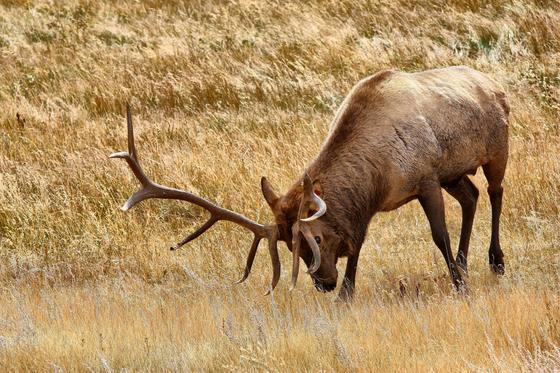 Rocky Mountain National Park