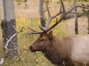 Rocky Mountain  National Park