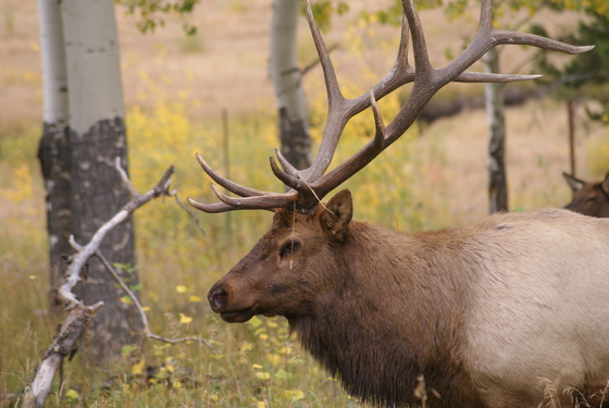 Rocky Mountain  National Park