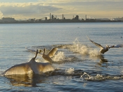 You Wanna Piece Of Me?