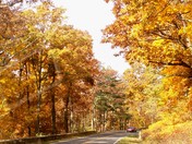 Shenandoah National Park