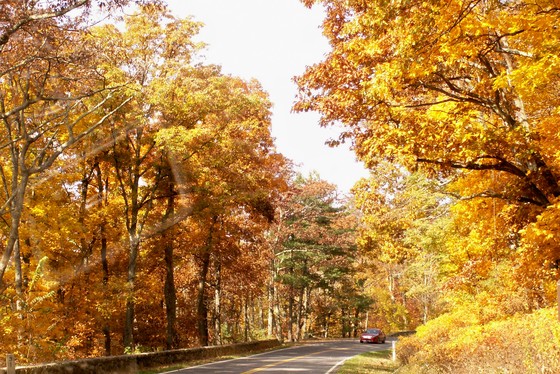 Shenandoah National Park