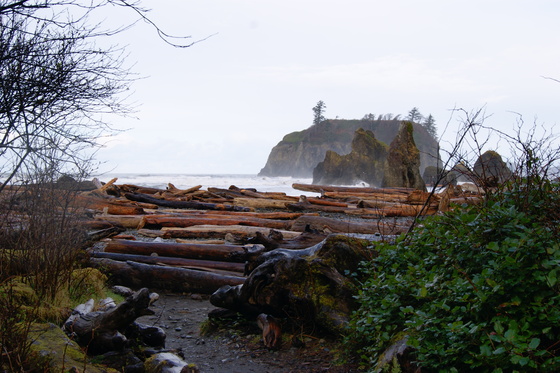 Ruby Beach Olympic National Park