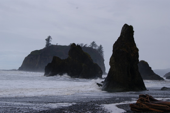Ruby Beach Olympic National Park