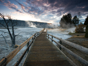 Yellowstone NP