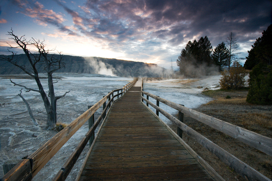 Yellowstone NP