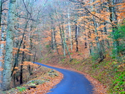 Great Smokey Mountains National Park
