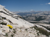 Yosemite National Park