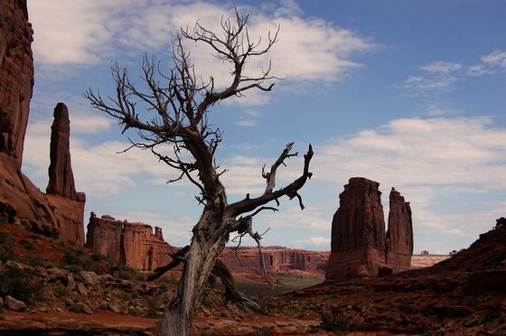 Arches National Park