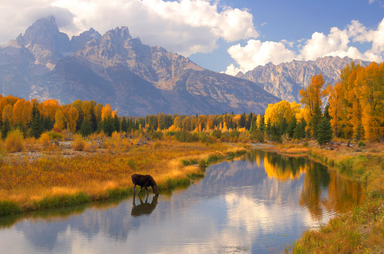 Teton National Park