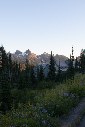 Mt Rainier National Park