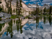 Inyo National Forest