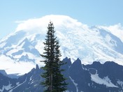 Mount Ranier National Park