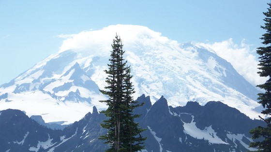 Mount Ranier National Park