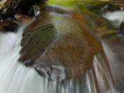 Shenandoah National Park