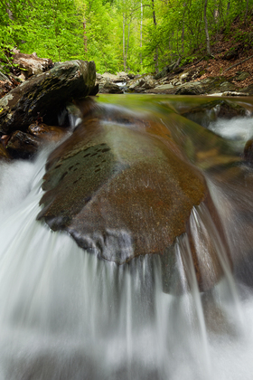 Shenandoah National Park
