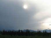Denali National Park