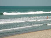 Canaveral National Seashore
