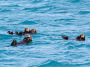 Prince William Sound - Chugach National Forest