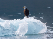 Prince William Sound - Chugach National Forest, Alaska