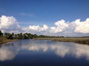 St. Marks National Wildlife Regute