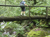 Great Smoky Mountains National Park