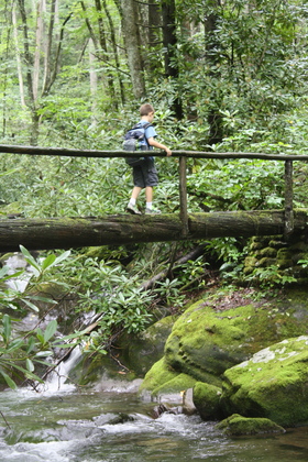 Great Smoky Mountains National Park
