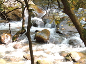 Great Smokey National Park