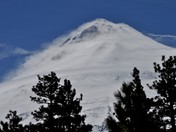 Mt. Shasta