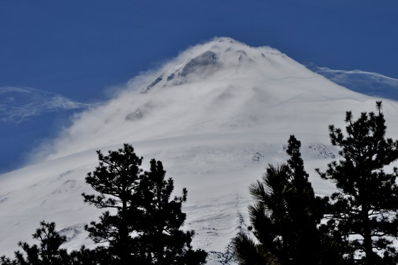 Mt. Shasta
