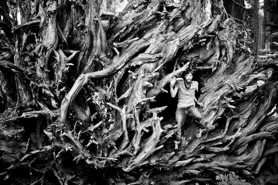 Sequoia National Park