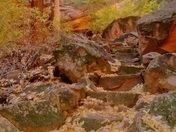 Navajo National Monument