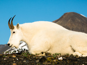 Kenai Fjords National Park