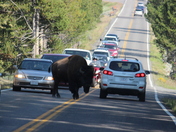 Yellowstone National Park
