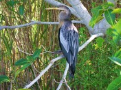 Everglades National Park