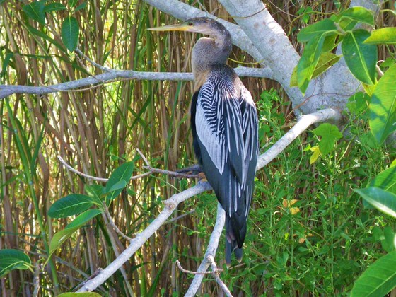 Everglades National Park