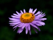 Yosemite National Park