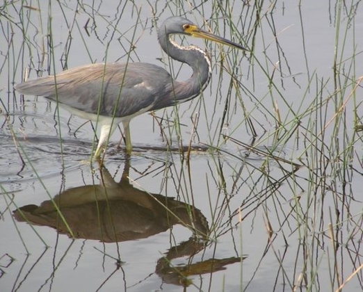 Everglades National Park