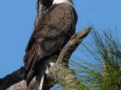 Everglades National Park
