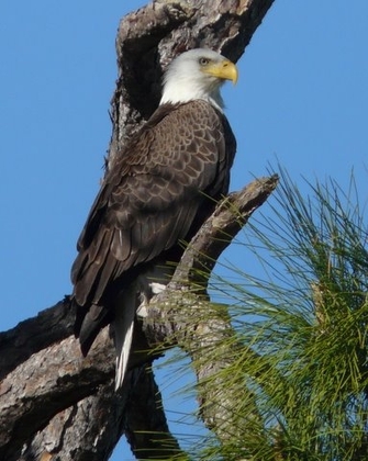 Everglades National Park