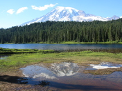 MT. RaIner